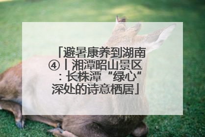 避暑康养到湖南④丨湘潭昭山景区：长株潭“绿心”深处的诗意栖居