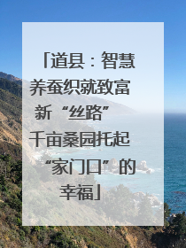 道县：智慧养蚕织就致富新“丝路” 千亩桑园托起“家门口”的幸福