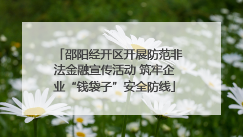 邵阳经开区开展防范非法金融宣传活动 筑牢企业“钱袋子”安全防线