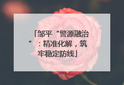 邹平“警源融治”：精准化解，筑牢稳定防线