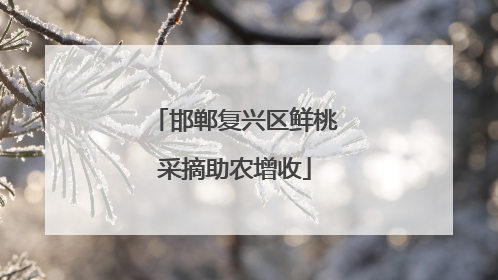 邯郸复兴区鲜桃采摘助农增收