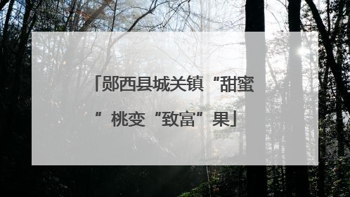 郧西县城关镇“甜蜜”桃变“致富”果
