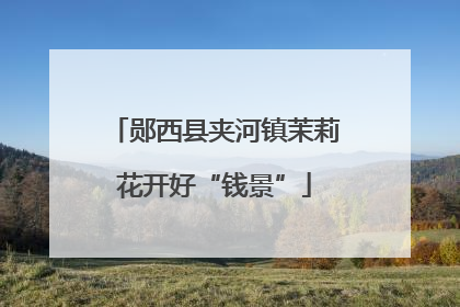郧西县夹河镇茉莉花开好“钱景”
