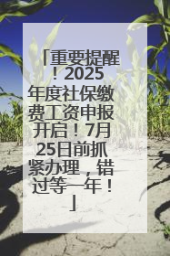 重要提醒！2025年度社保缴费工资申报开启！7月25日前抓紧办理，错过等一年！