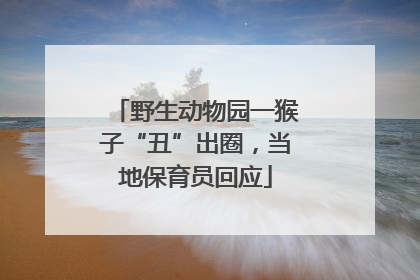 野生动物园一猴子“丑”出圈，当地保育员回应
