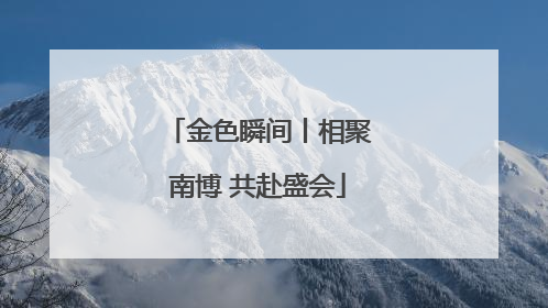 金色瞬间丨相聚南博 共赴盛会