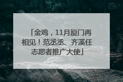 金鸡，11月厦门再相见！范丞丞、齐溪任志愿者推广大使