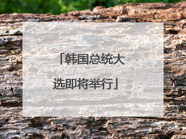 韩国总统大选即将举行