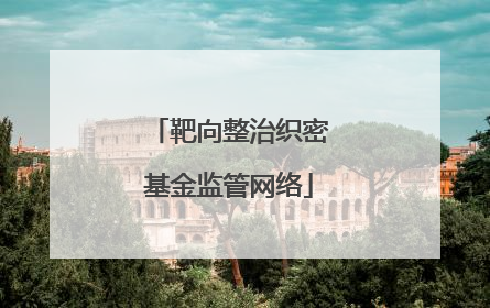 靶向整治织密基金监管网络