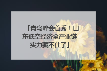 青岛峰会首秀！山东低空经济全产业链实力藏不住了