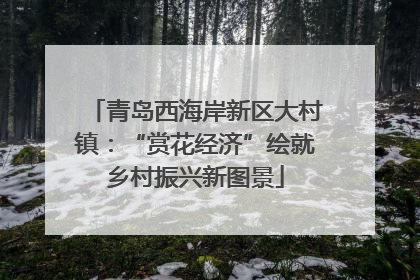 青岛西海岸新区大村镇：“赏花经济”绘就乡村振兴新图景