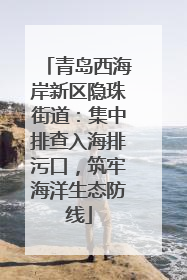 青岛西海岸新区隐珠街道：集中排查入海排污口，筑牢海洋生态防线