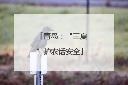 青岛：“三夏”护农话安全