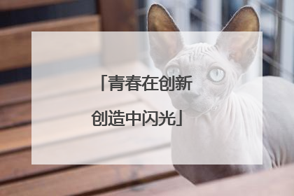 青春在创新创造中闪光