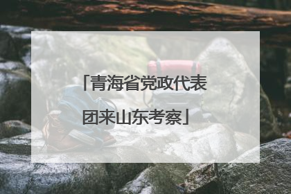 青海省党政代表团来山东考察