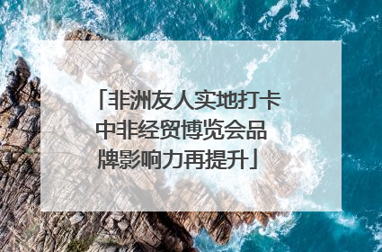 非洲友人实地打卡 中非经贸博览会品牌影响力再提升