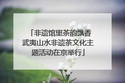 非遗馆里茶韵飘香 武夷山水非遗茶文化主题活动在京举行
