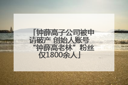 钟薛高子公司被申请破产 创始人账号“钟薛高老林”粉丝仅1800余人