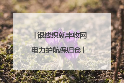 银线织就丰收网 电力护航保归仓