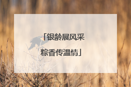 银龄展风采 粽香传温情