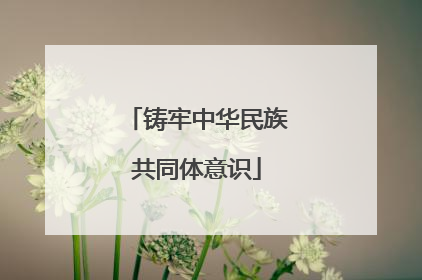 铸牢中华民族共同体意识