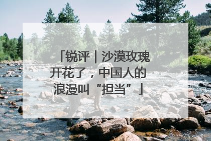 锐评｜沙漠玫瑰开花了，中国人的浪漫叫“担当”