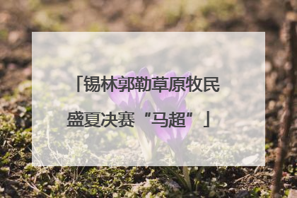 锡林郭勒草原牧民盛夏决赛“马超”
