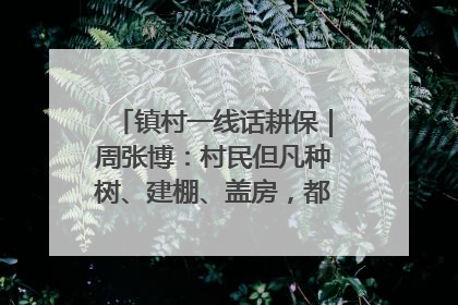 镇村一线话耕保｜周张博：村民但凡种树、建棚、盖房，都要向街道报批