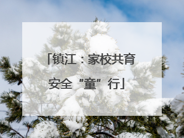 镇江：家校共育 安全“童”行