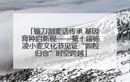 镰刀割麦话传承 基因育种启新程——第十届杨凌小麦文化节见证“颗粒归仓”时空跨越