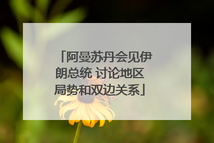 阿曼苏丹会见伊朗总统 讨论地区局势和双边关系