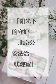 阳光下的守护——北京公安法治一线观察