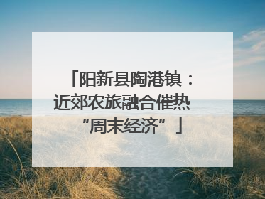 阳新县陶港镇：近郊农旅融合催热“周末经济”