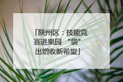 陕州区：技能竞赛进果园 “袋”出增收新希望