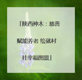 陕西神木：慈善赋能养老 绘就村社幸福图景
