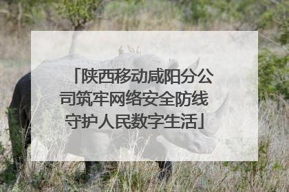 陕西移动咸阳分公司筑牢网络安全防线守护人民数字生活