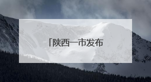 陕西一市发布干部任职公示
