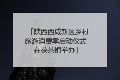 陕西西咸新区乡村旅游消费季启动仪式在茯茶镇举办
