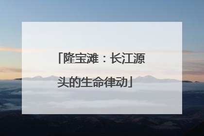 隆宝滩：长江源头的生命律动