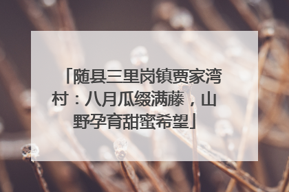 随县三里岗镇贾家湾村：八月瓜缀满藤，山野孕育甜蜜希望