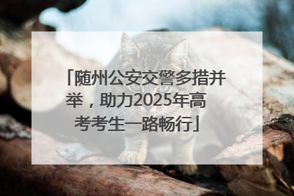 随州公安交警多措并举，助力2025年高考考生一路畅行