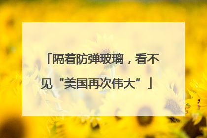 隔着防弹玻璃，看不见“美国再次伟大”