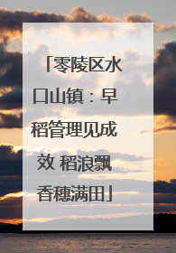 零陵区水口山镇：早稻管理见成效 稻浪飘香穗满田