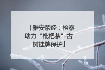 雅安荥经：检察助力“枇杷茶”古树挂牌保护