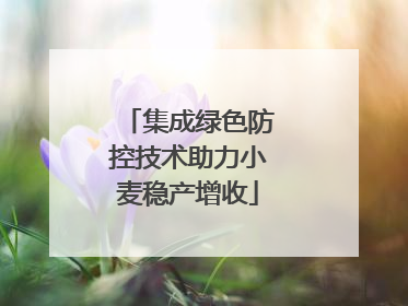 集成绿色防控技术助力小麦稳产增收