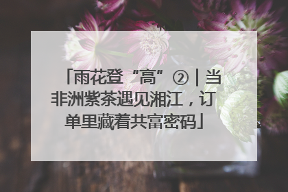 雨花登“高”②｜当非洲紫茶遇见湘江，订单里藏着共富密码