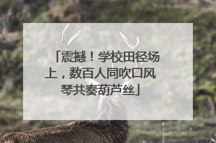 震撼！学校田径场上，数百人同吹口风琴共奏葫芦丝
