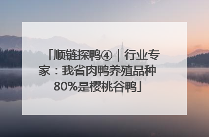 顺链探鸭④｜行业专家：我省肉鸭养殖品种80%是樱桃谷鸭