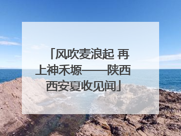 风吹麦浪起 再上神禾塬——陕西西安夏收见闻