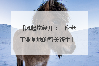 风起常经开：一座老工业基地的智美新生